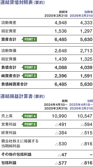 画像:連結貸借対照表(要約)/連結損益計算書(要約)